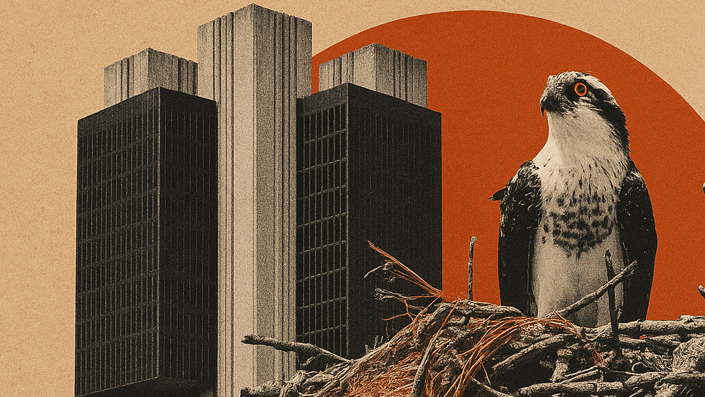 BC não pode ser mais nervoso que mercado, dizem analistas