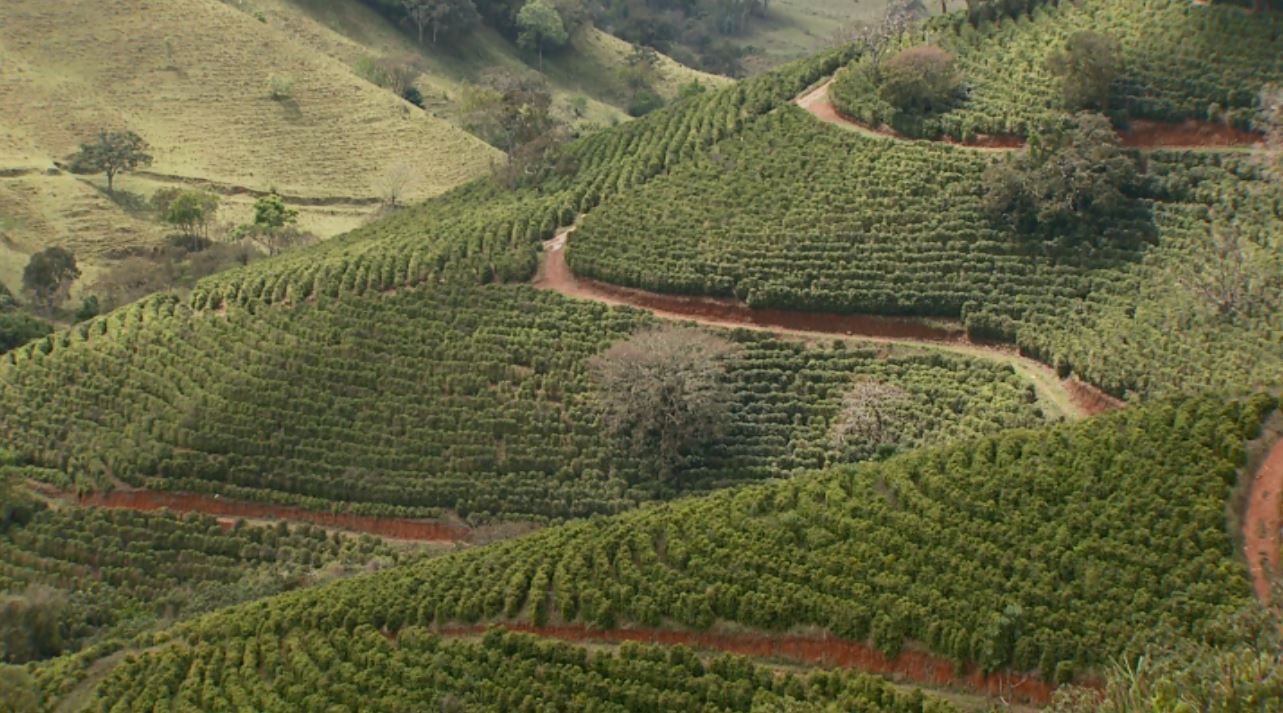 Cafés especiais ganham protagonismo no 2º Festival Mantiqueira de Minas; confira a programação