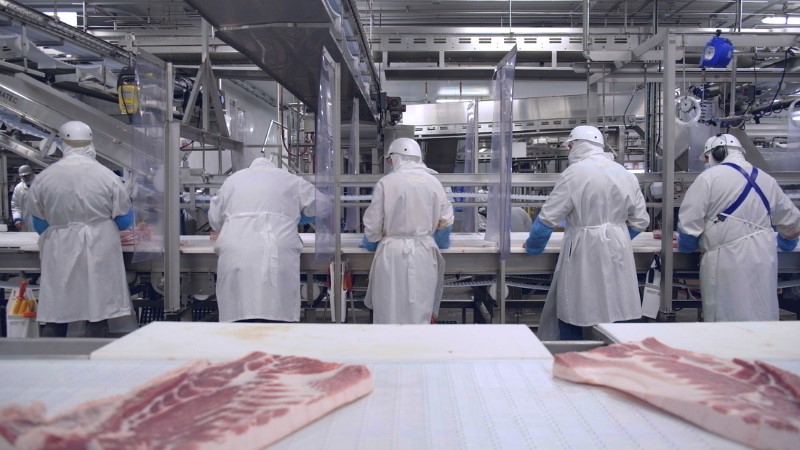 Analistas veem surpresa negativa nos números da Minerva