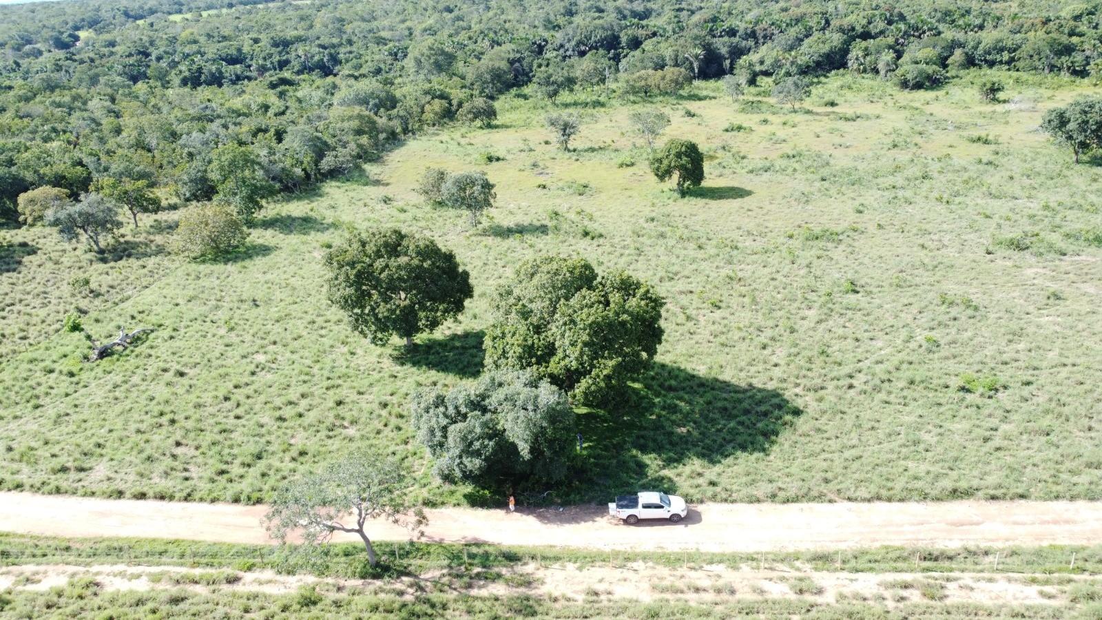 Mecânico é avistado por drone e equipe usa trator para diminuir pasto na região de buscas