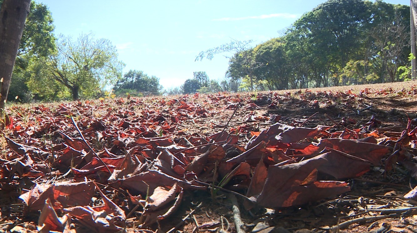 Outono no Alto Tietê deve ter temperaturas acima da média em 2026