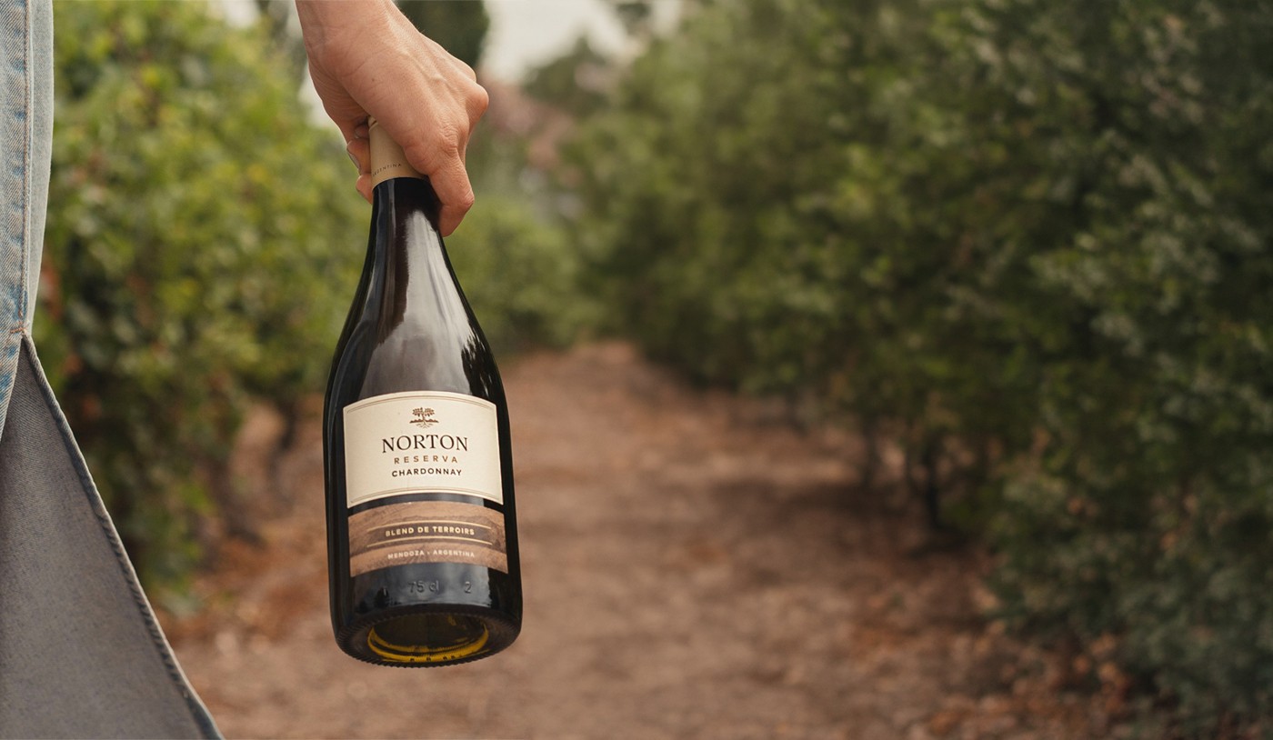 Vinhos para beber no outono