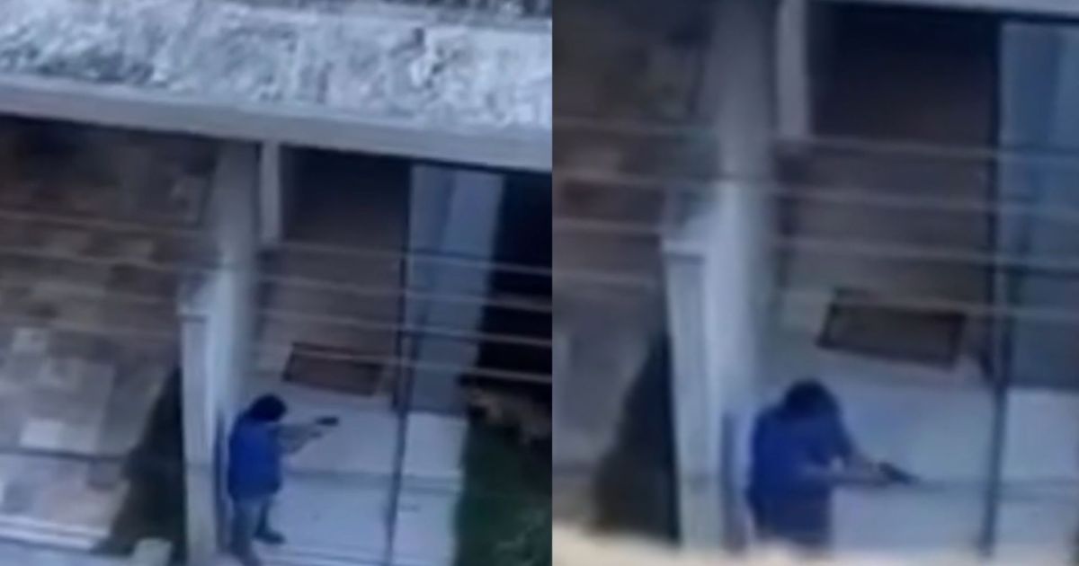 Homem é preso após matar cão a tiros em Minas Gerais; veja vídeo