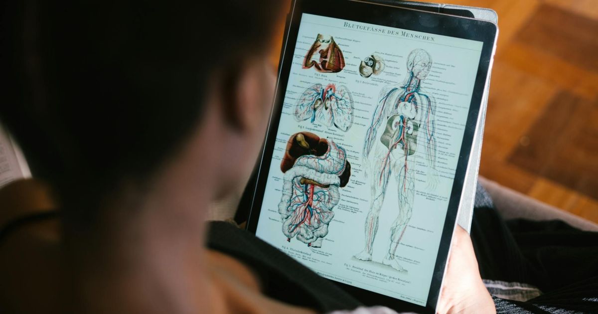 7 em cada 10 brasileiros usam IA para tirar dúvidas de saúde, aponta estudo