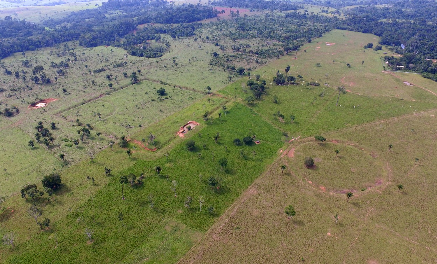 Geoglifos que sofreram danos devem ser delimitados e sinalizados no Acre, determina acordo