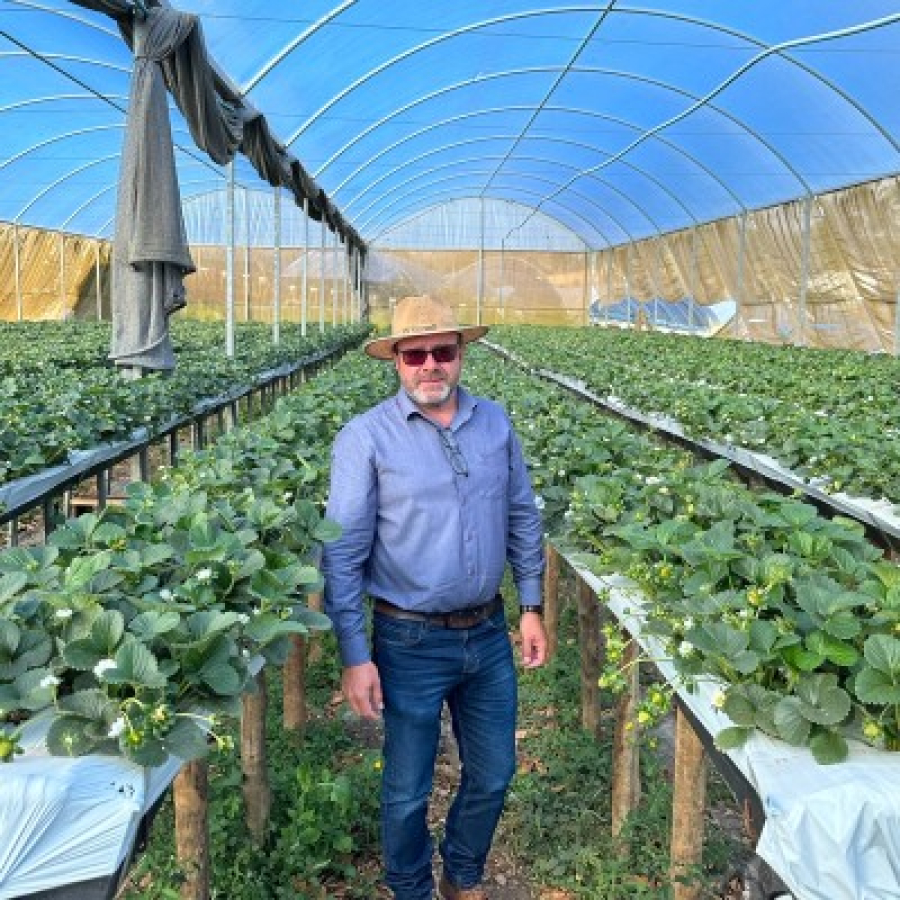 Sistema da GoodWe reduz em até 80% os custos de operação de indústria de alimentos em Minas Gerais