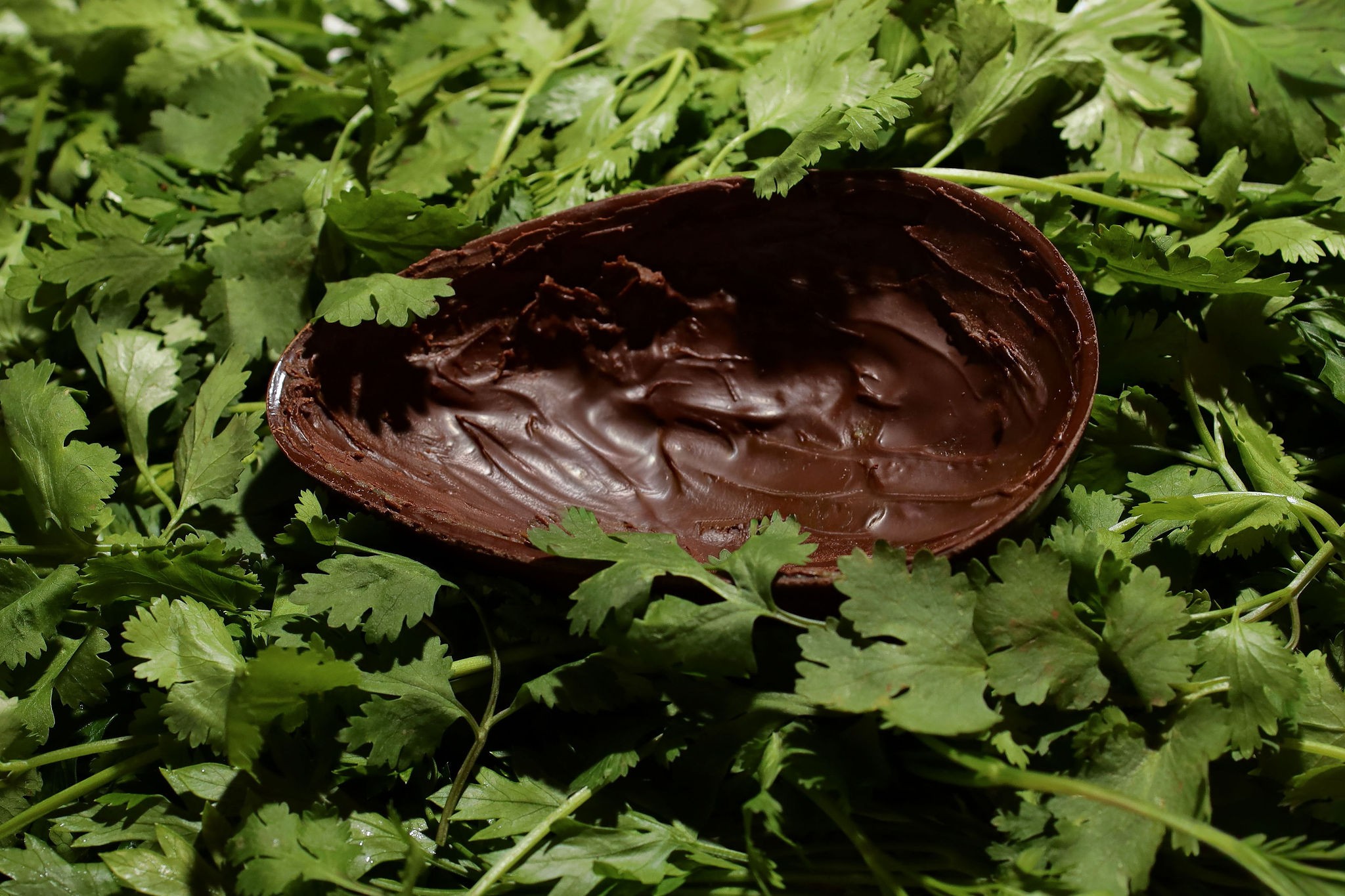 Ovo de Páscoa de coentro leva confeiteira atingir faturamento do mês em uma semana