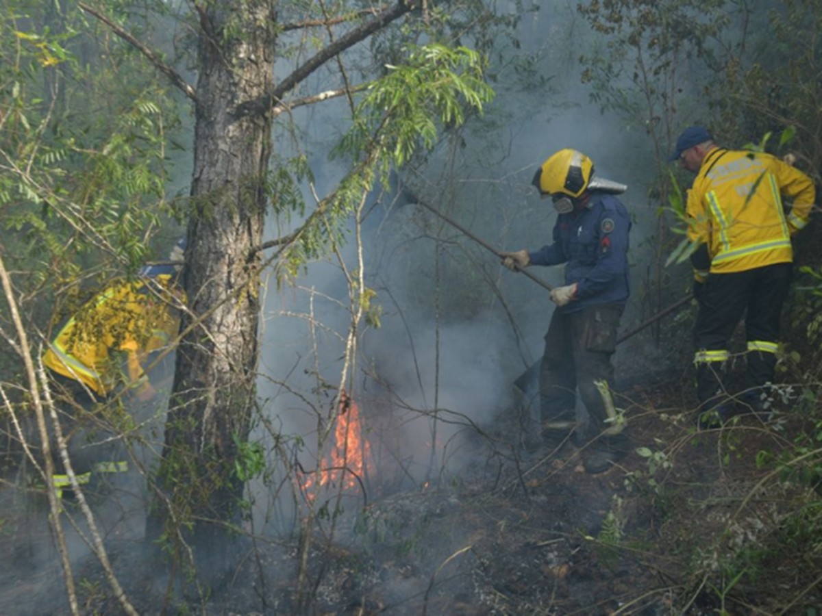 Previsão de incêndios? SC lança plataforma que monitora riscos diariamente; veja como funciona