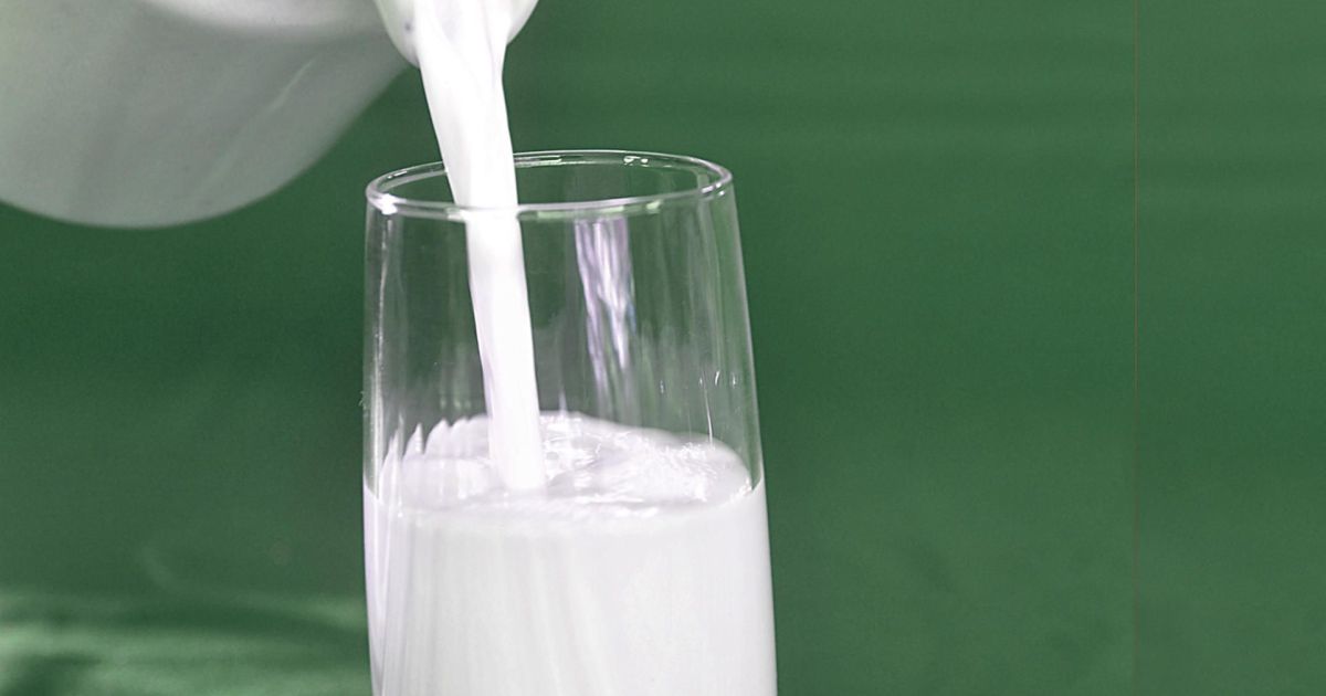 Produtores de leite ampliam escala e lideram avanço da pecuária no Brasil