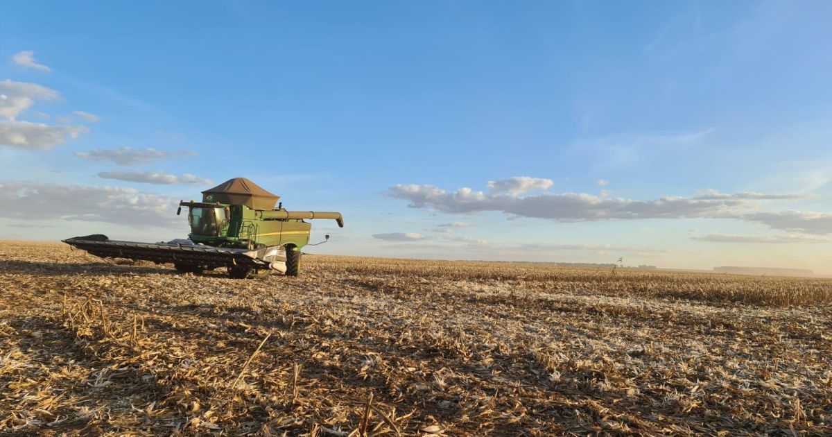 Atraso no plantio da safrinha sustenta reação nos preços do milho