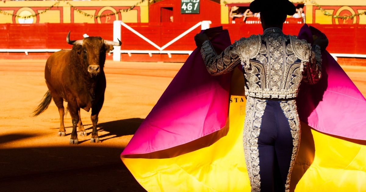 Ex-toureiro morre após ser atacado por touro na Espanha