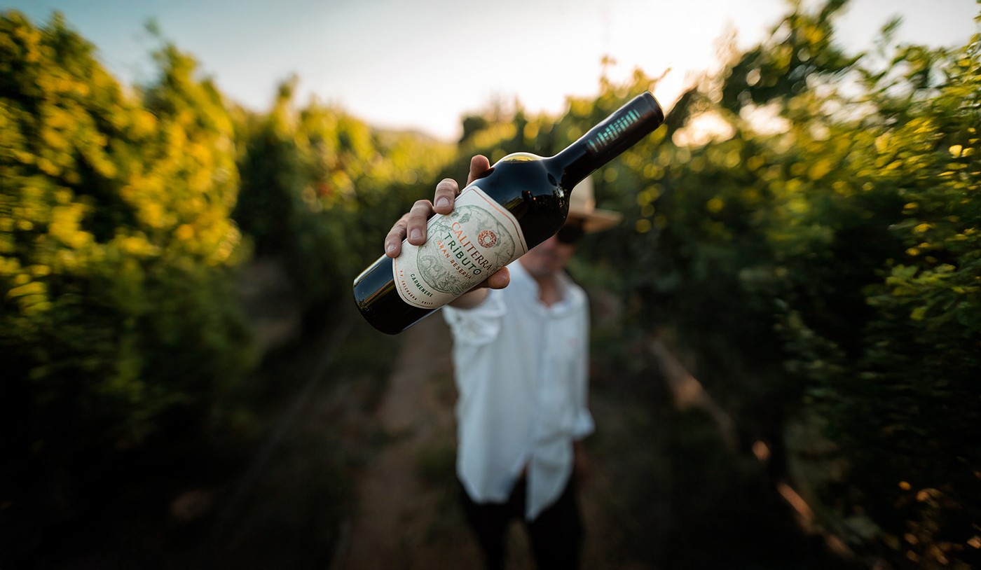 Vinhos caros são melhores que vinhos “baratos”?