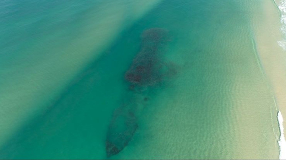 VÍDEO: cardume com milhares de tainhas 'contorna' navio naufragado em praia de SC