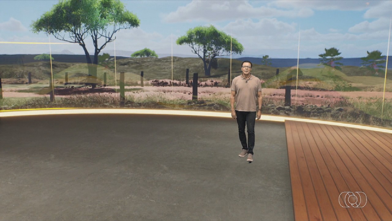 VÍDEOS: Jornal do Campo - TO de domingo, 5 de abril