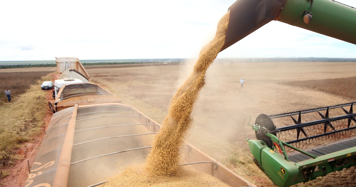 ANEC: Brasil exportou 15,8 milhões de toneladas de soja em março