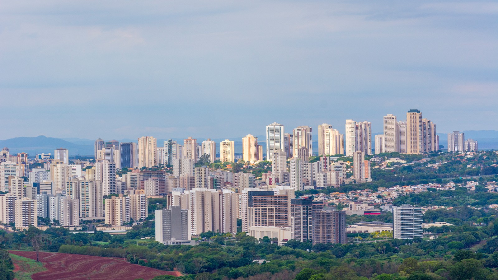 Ribeirão Preto na rota global: desafios para atrair multinacionais