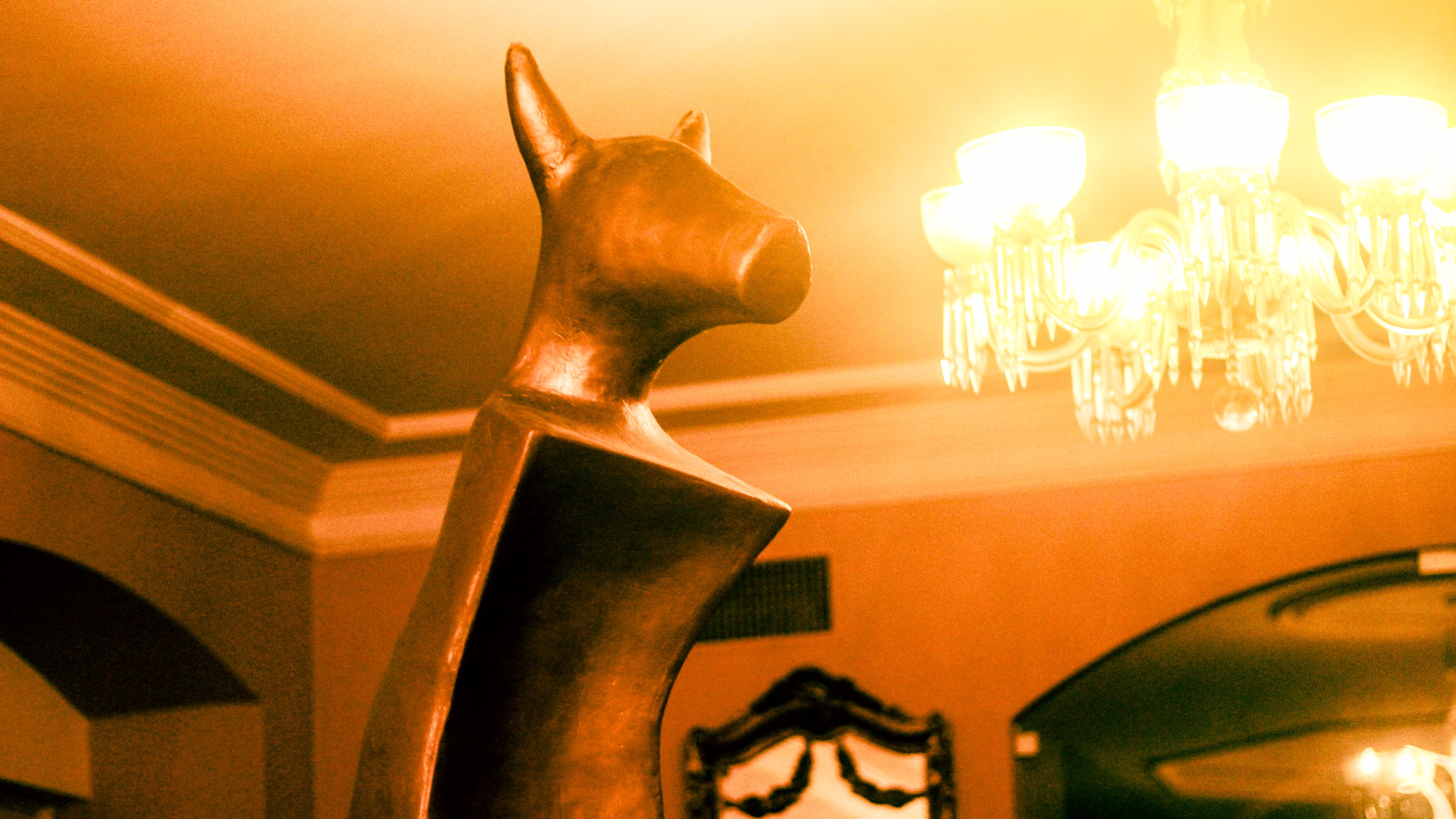 Festival Guarnicê divulga primeiros selecionados para a edição de 2026