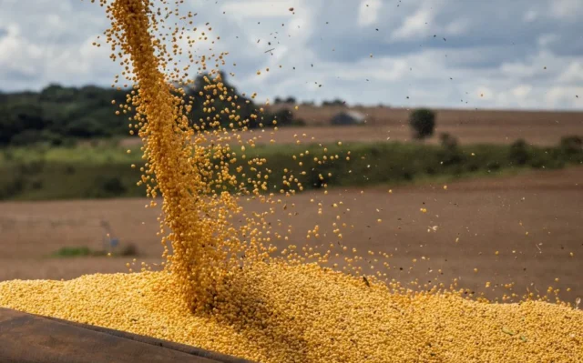 Quais as disputas em torno do projeto da Ferrogrão