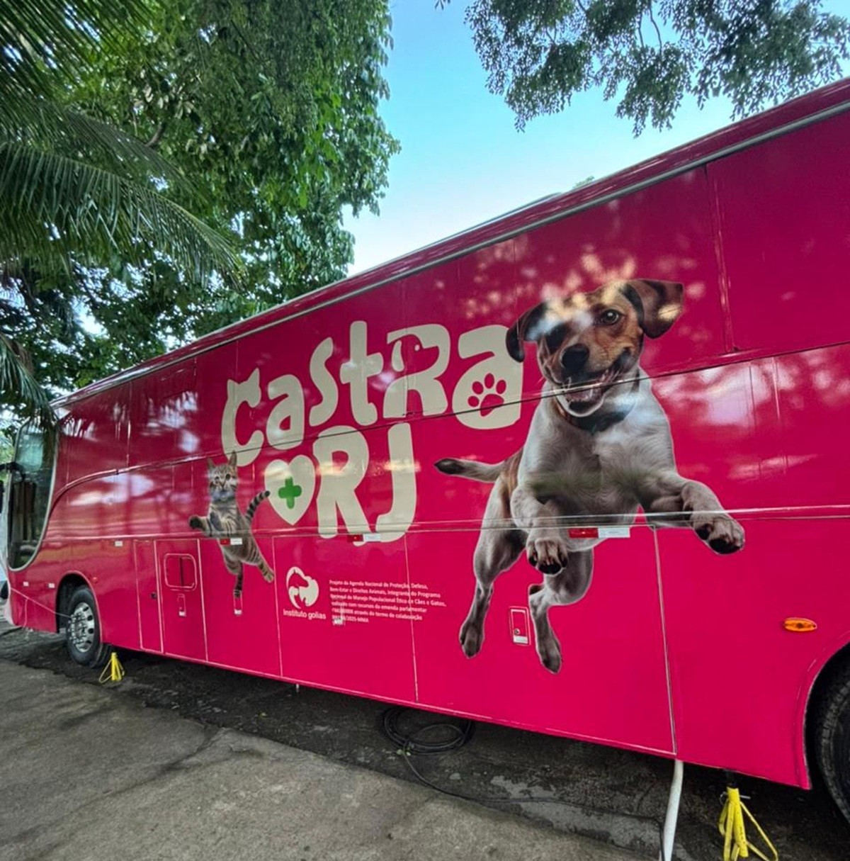 Cabo Frio recebe programa gratuito de castração para cães e gatos