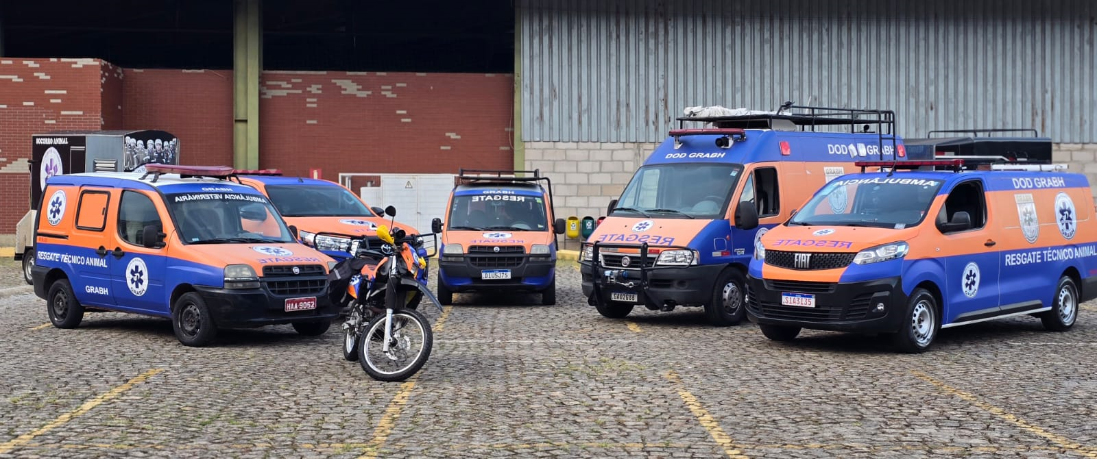 Serviço de resgate de animais, o SAMUVet, começa a funcionar nesta segunda-feira (6)