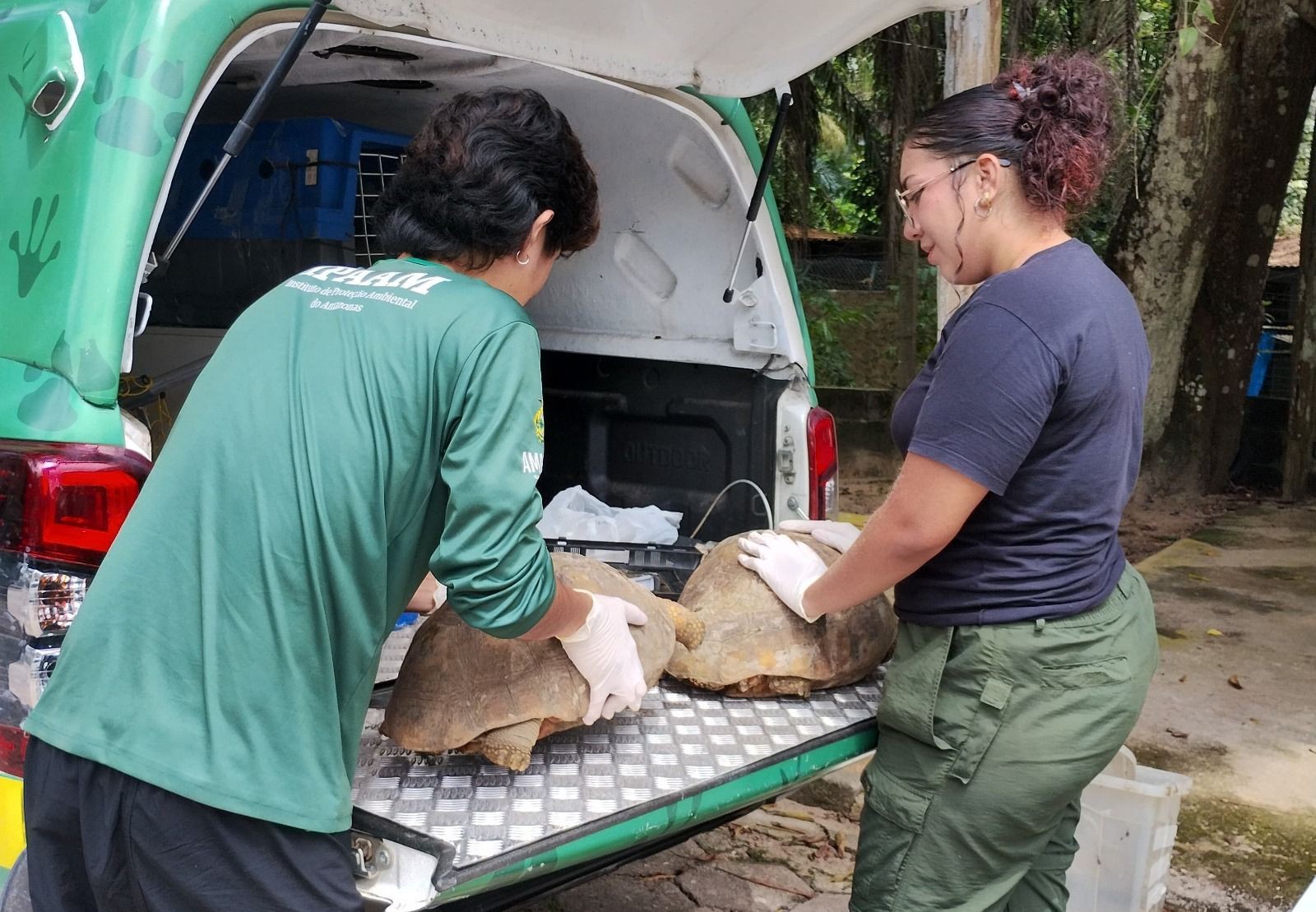 Em três dias, 53 animais silvestres são resgatados de cativeiros ilegais na zona leste de Manaus