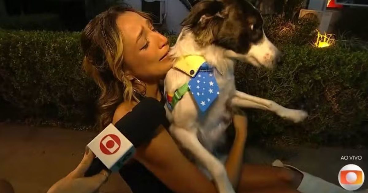 BBB 26: Samira protagoniza reencontro emocionante com o cão Lindolfo