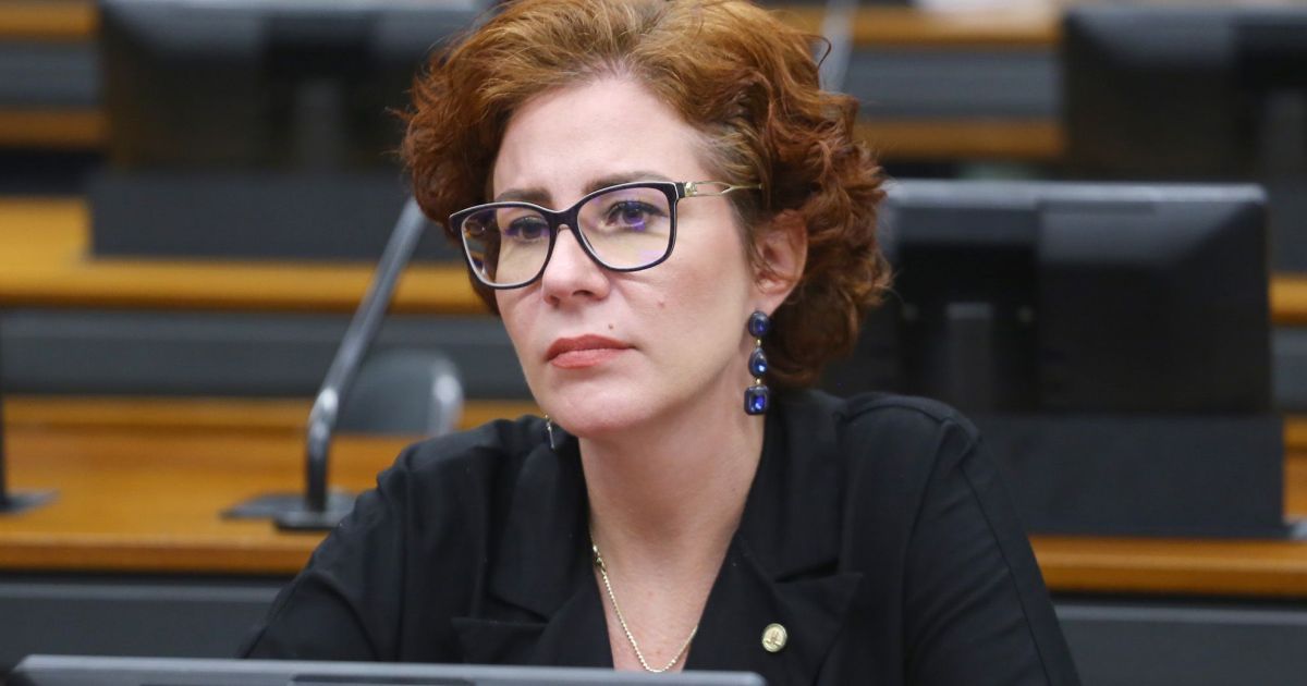 Defesa de Zambelli tenta derrubar crime de falsificação