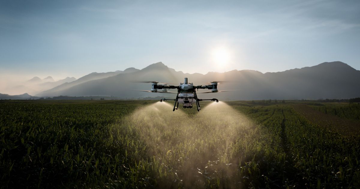 Uso de drones na agricultura cresce mais de 10 vezes no Brasil