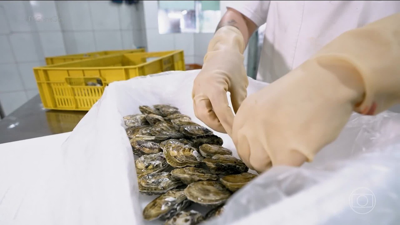 Ele deixou o escritório para cultivar ostras e hoje fatura R$ 3,6 milhões