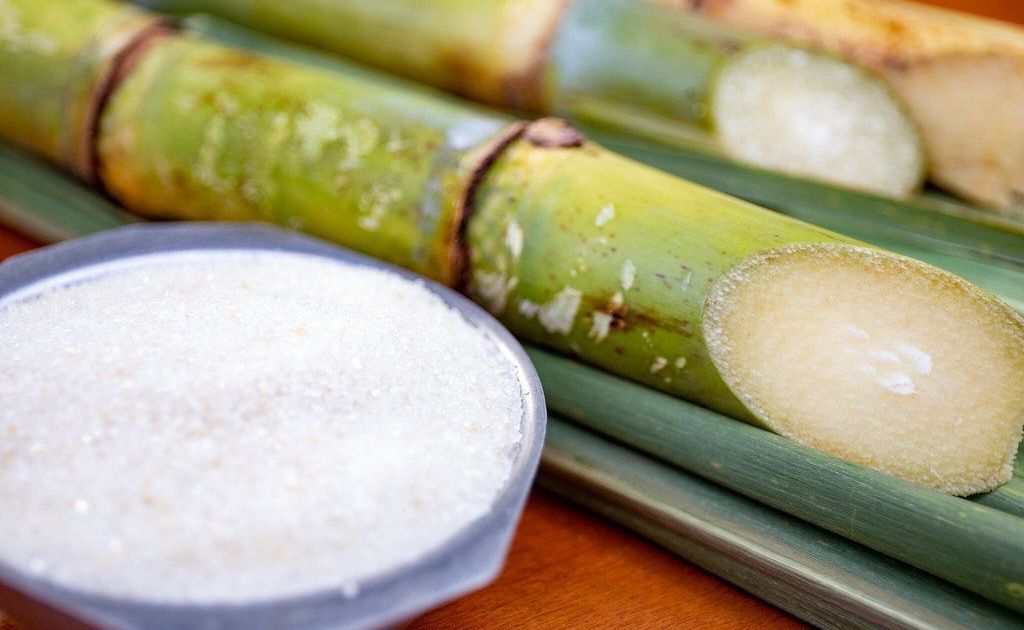 Açúcar sobe e atinge maior preço em três semanas em Nova York
