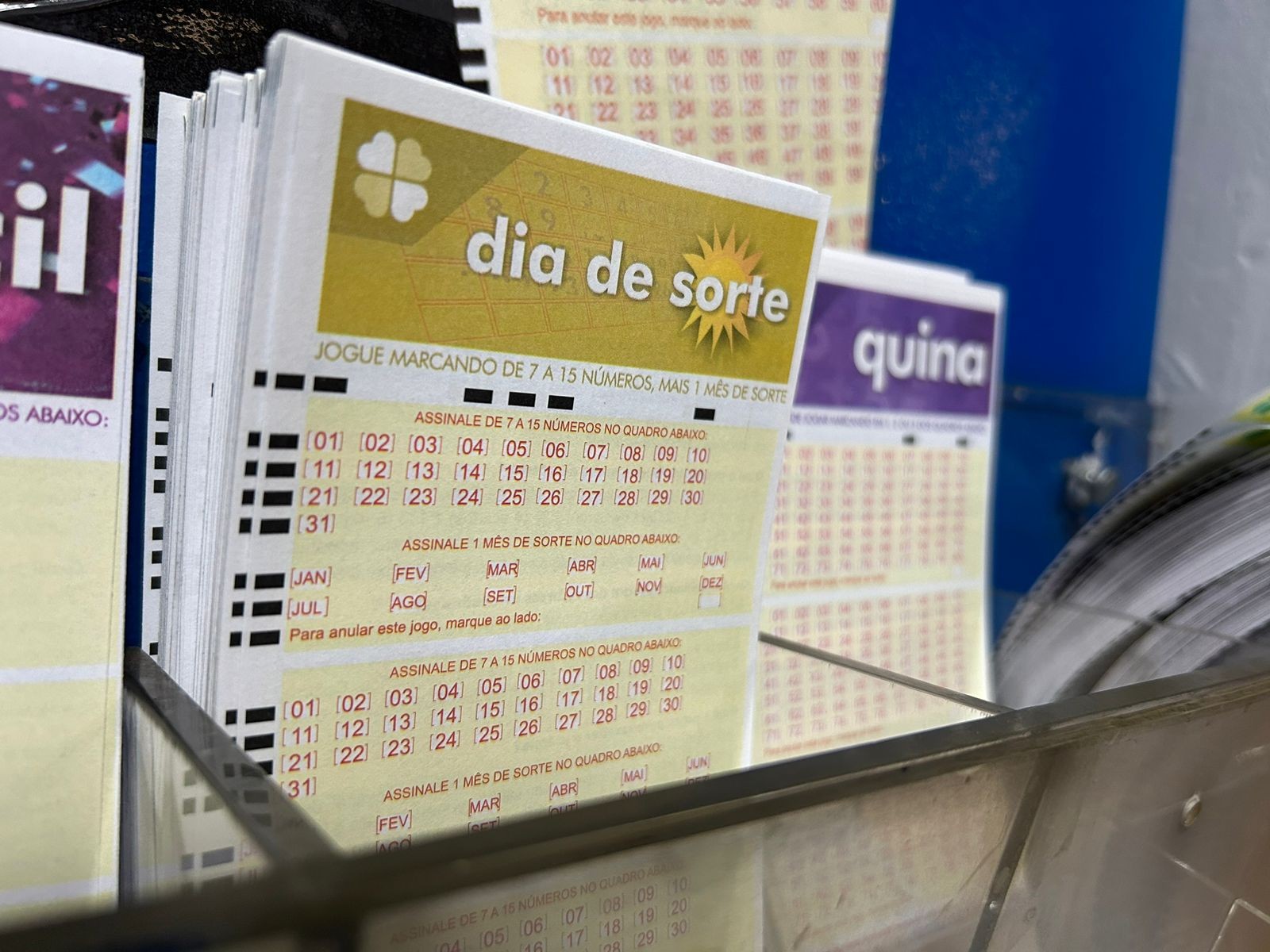 Dia de Sorte hoje: resultado do concurso 1208 e números sorteados