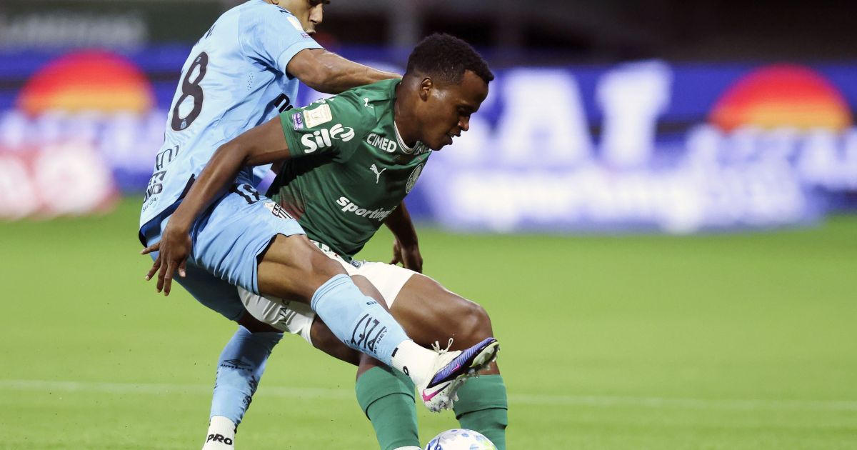 Cuca elogia gramado do Allianz Parque: “É muito bom”