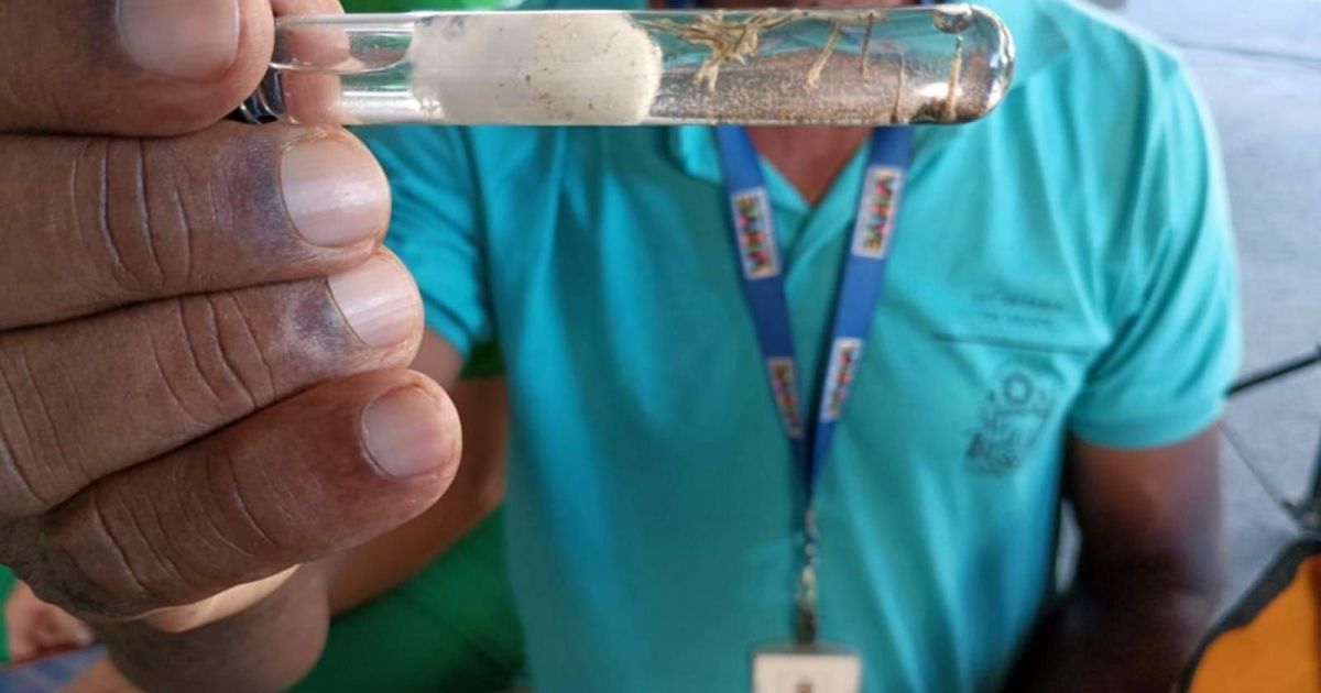 Bahia registra cerca de 8 mil casos prováveis de dengue em 2026