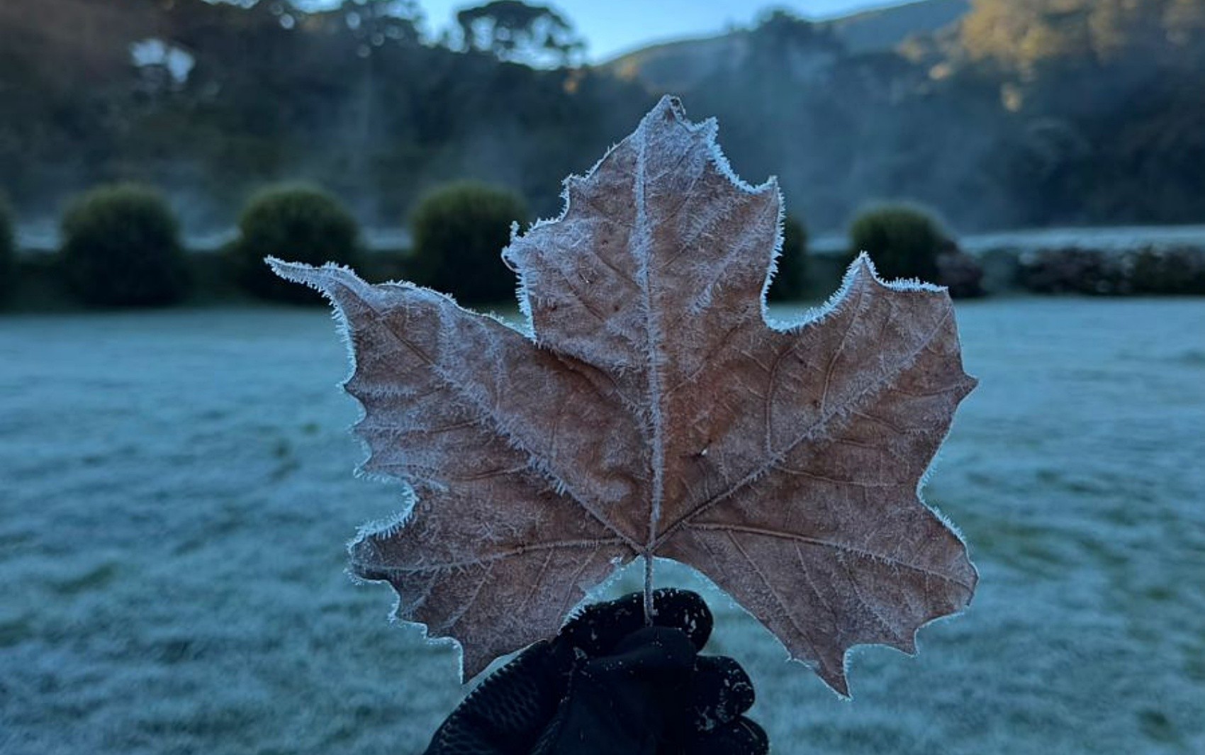 Sul de MG registra primeira geada do outono e amanhece com temperaturas próximas de 0°C