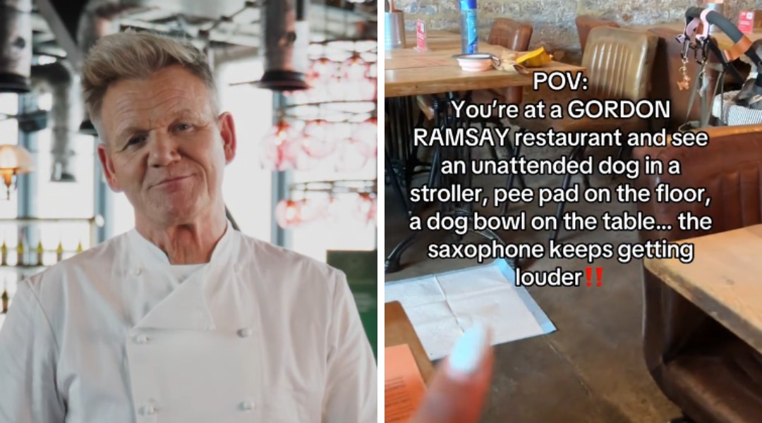 VÍDEO: Chef de reality show se pronuncia após viral acusar seu restaurante de permitir que cães defequem entre as mesas