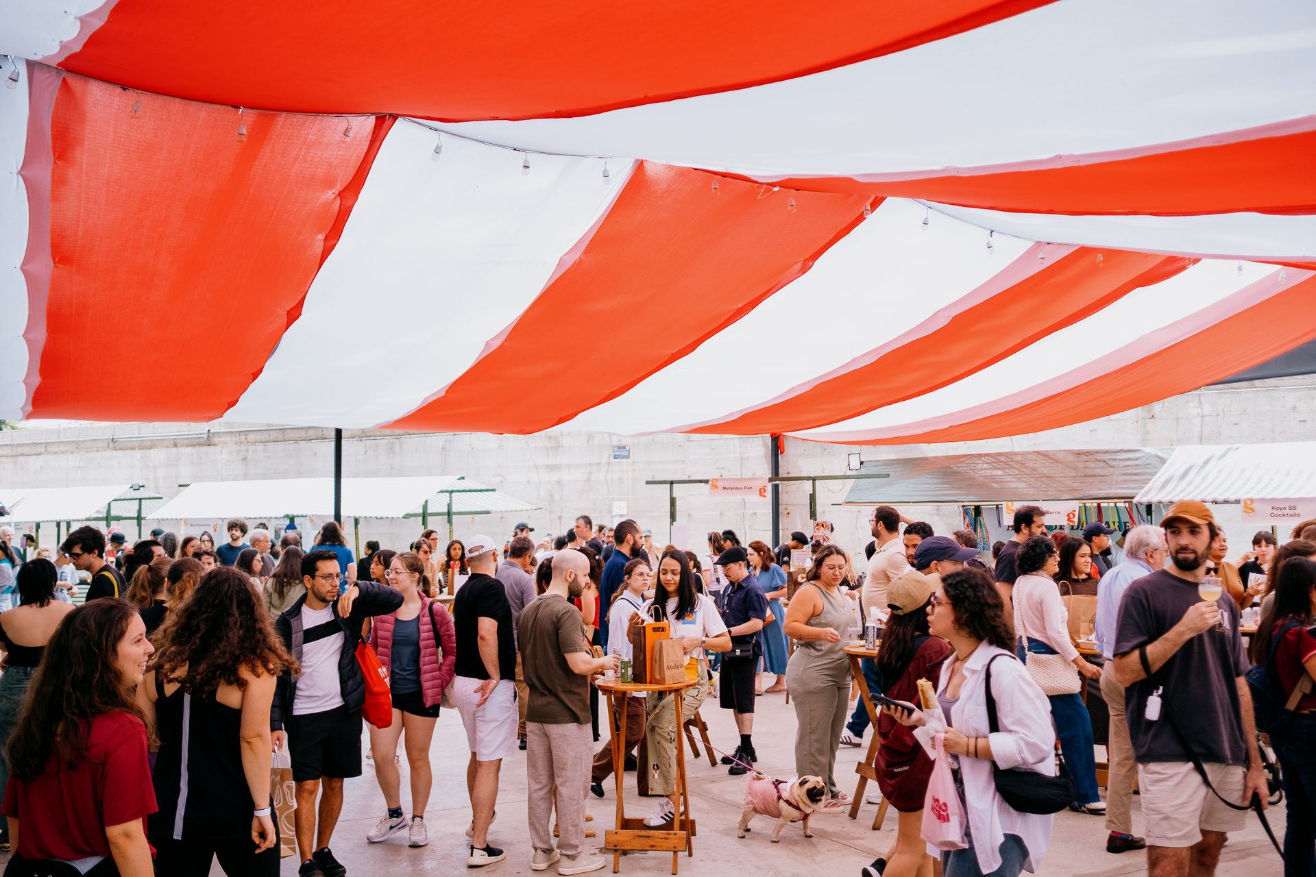 Feira Gosto.sa transforma o mel em protagonista