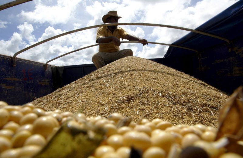 Congelamento do Fethab em Mato Grosso é prorrogado até dezembro de 2026