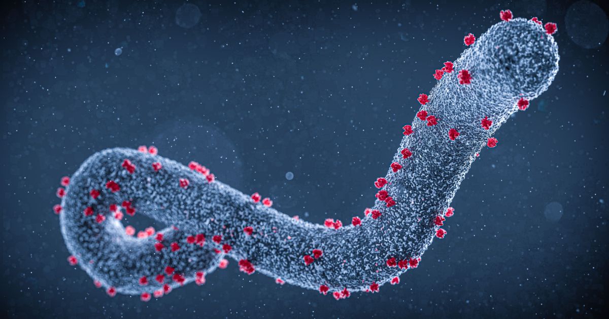 Ebola: veja cronologia da doença e entenda causa de surtos na África