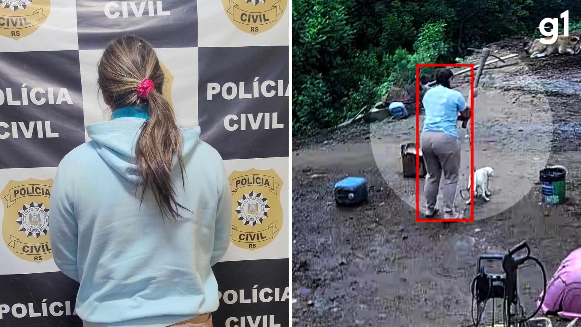 MP-RS denuncia casal pela morte do cão Branquinho com picareta e maus-tratos a outros animais em Porto Alegre