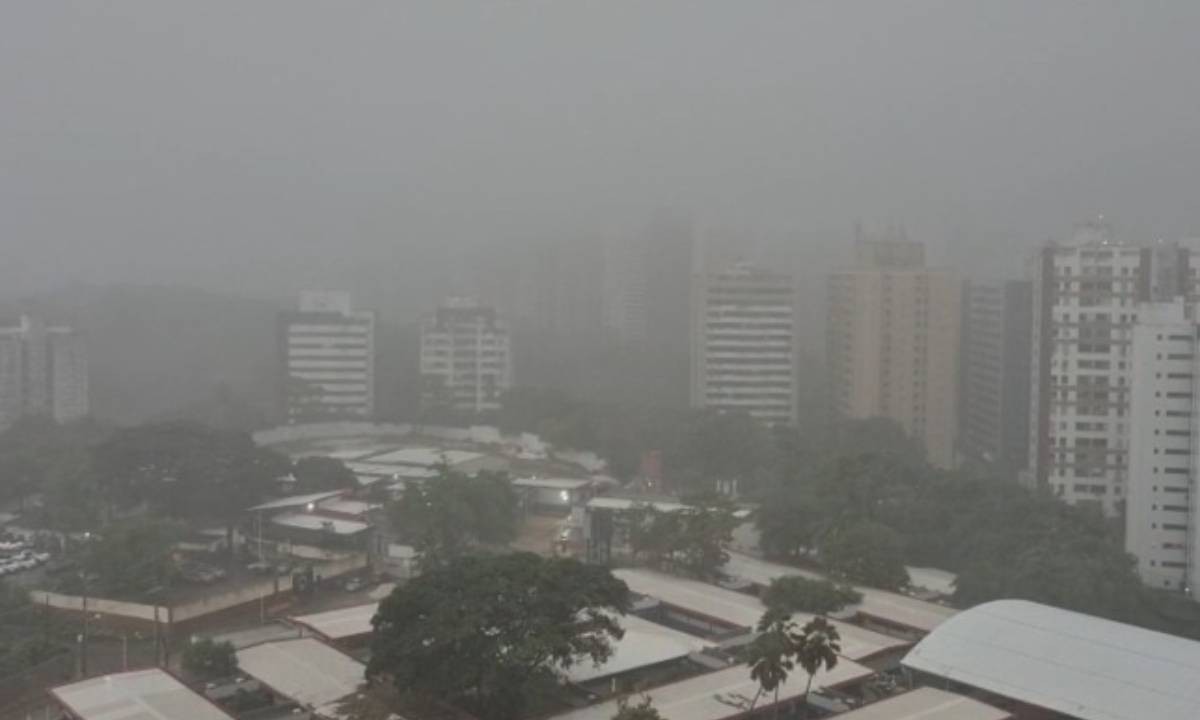 Chuva em Salvador faz Codesal registrar 136 solicitações de atendimento em três dias