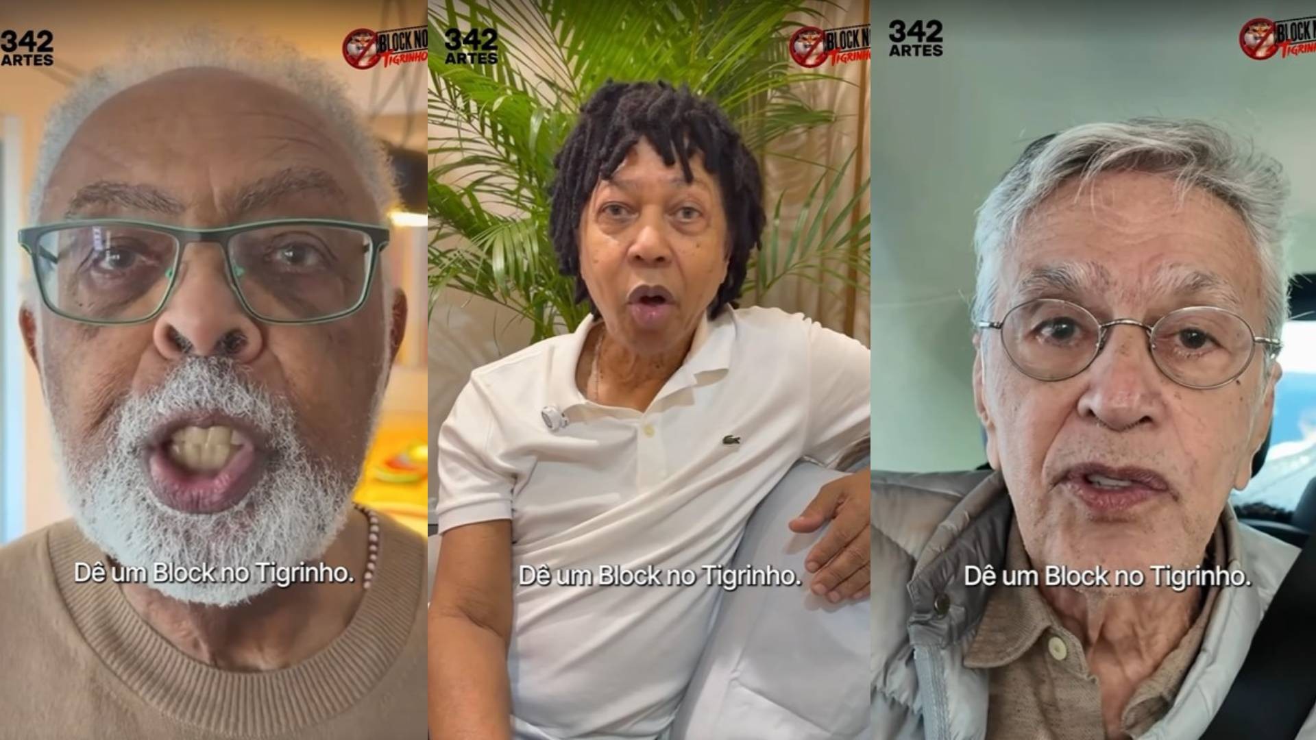 Gilberto Gil, Luisa Arraes, Caetano Veloso e mais artistas participam de campanha contra 'jogo do tigrinho'