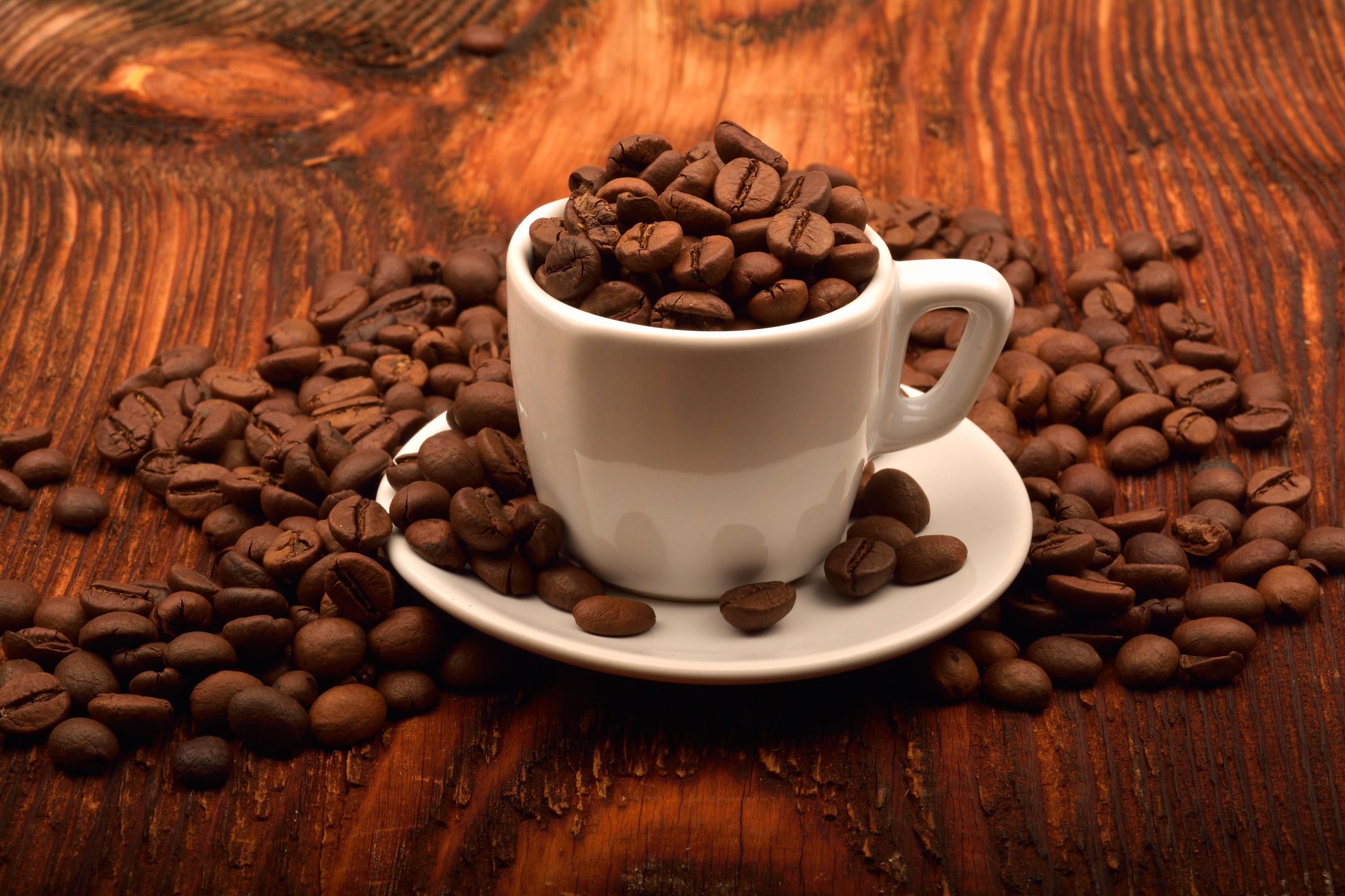 Açaí, milho e café: documento dos EUA de 2024 aponta produtos brasileiros como feitos com trabalho forçado; veja lista