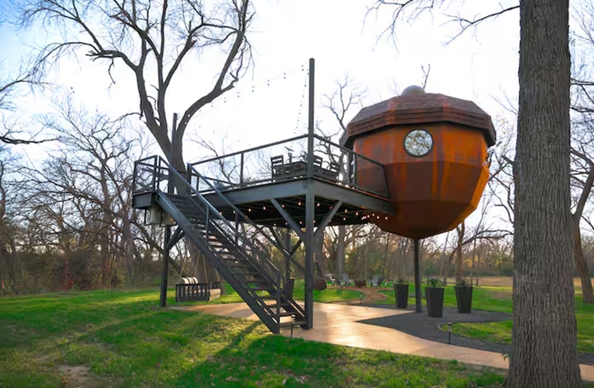 Texas tem casa na árvore em formato de noz; fotos