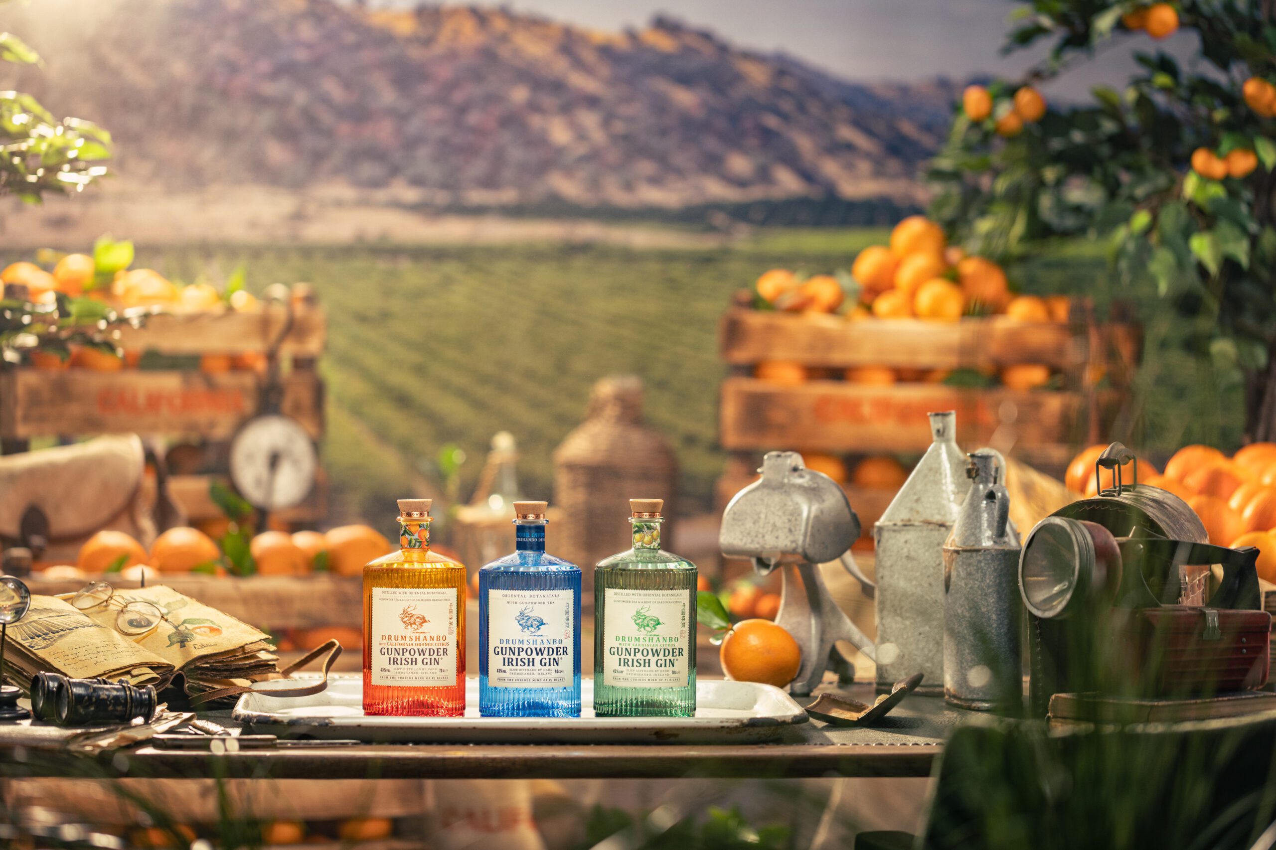 Gin: três detalhes que transformam um rótulo premium em um drinque inesquecível