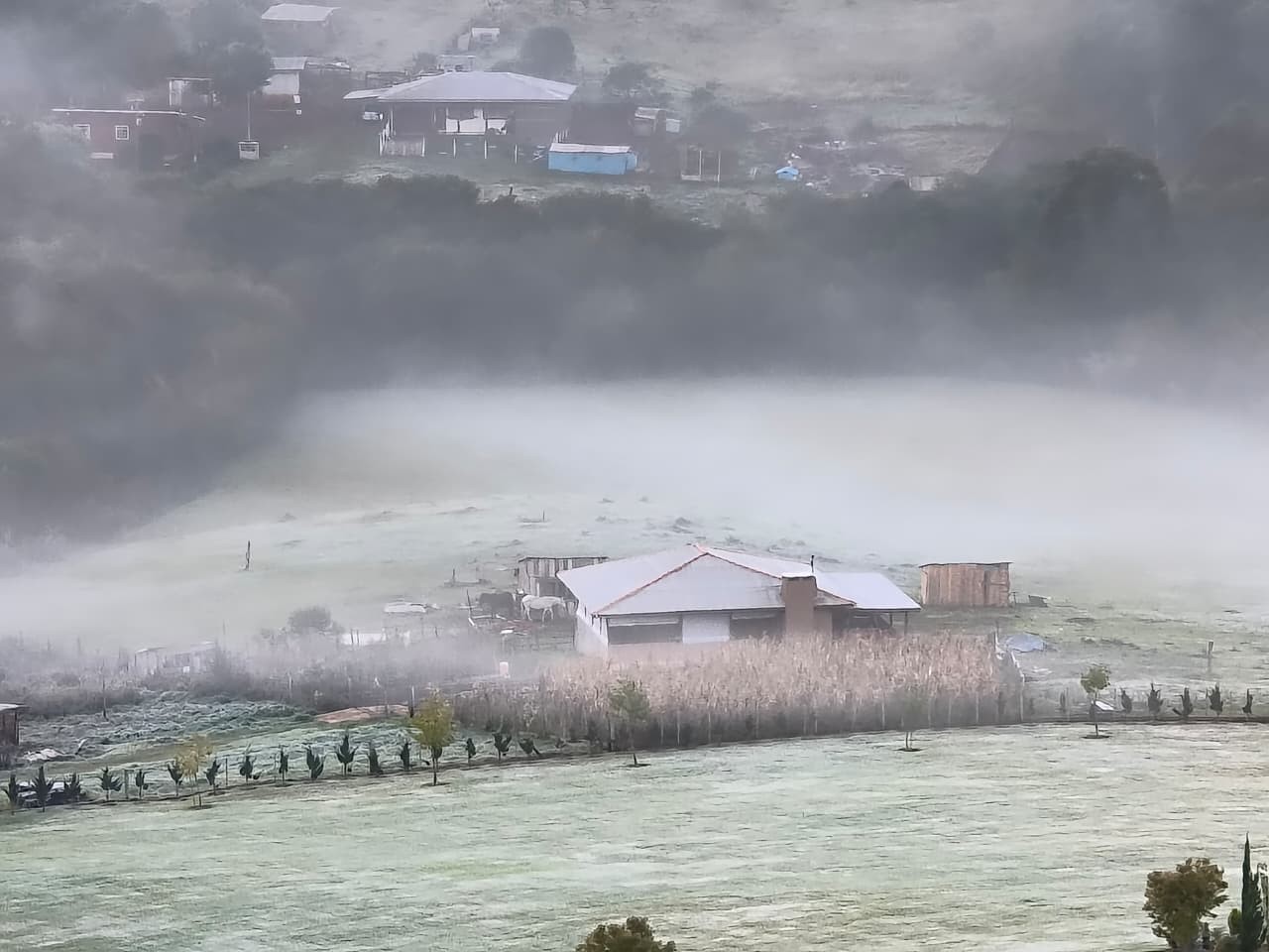 Paraná recebe alerta de geadas nesta última semana de outono; veja onde e a previsão do tempo