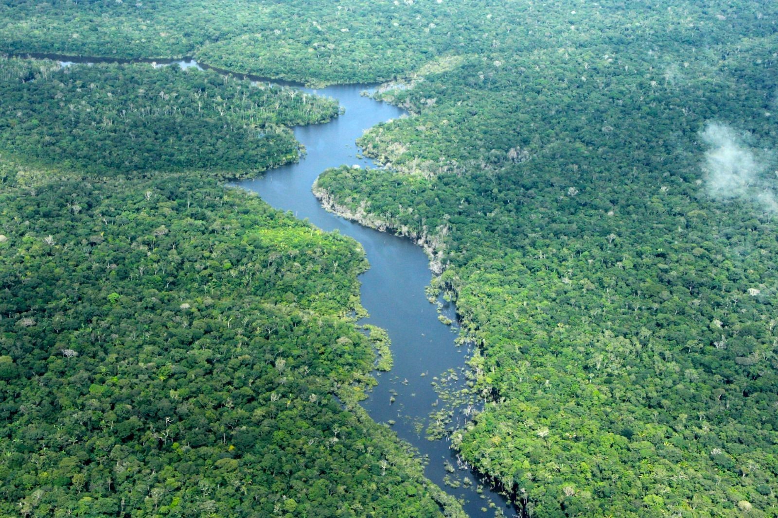 Desmatamento no Amazonas cai 57% nos primeiros cinco meses de 2026, aponta Inpe