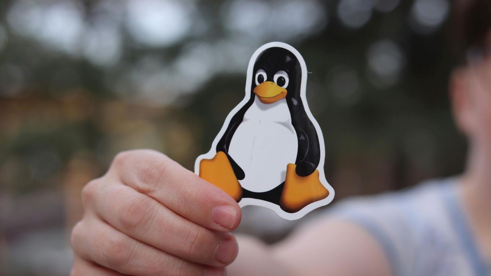 Linus Torvalds anuncia Linux 7.1 com melhorias em drivers e sistema de arquivos