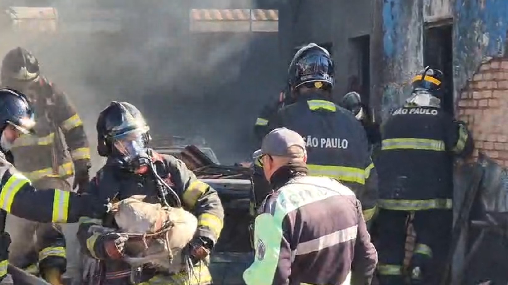 Queda de telhado pode ter ajudado cachorro salvo de incêndio a sobreviver em Franca, SP, diz bombeiro