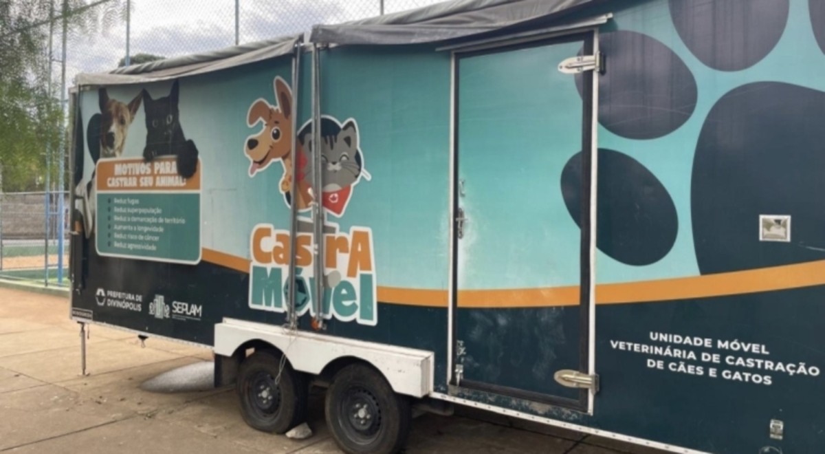 Castração gratuita de cães e gatos é retomada em Divinópolis