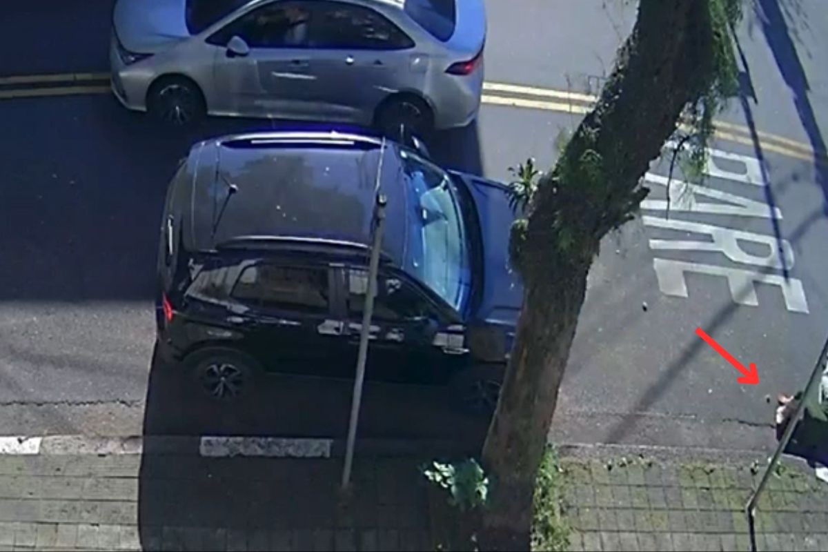 Motorista atropela idosa de 81 anos e foge sem prestar socorro no litoral de SP; VÍDEO